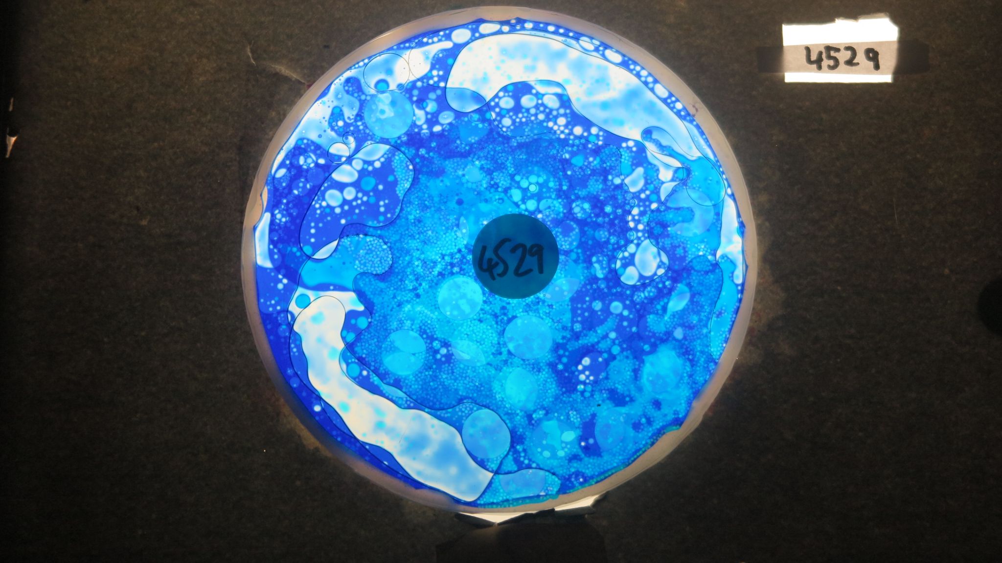 BV4529 bubble vision oil wheel